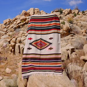 Image of Desert Diamond Southwest Textile - Earth