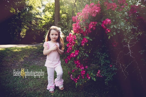 Image of Tickled Pink Flutter