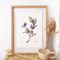Image 1 of blueberry branch