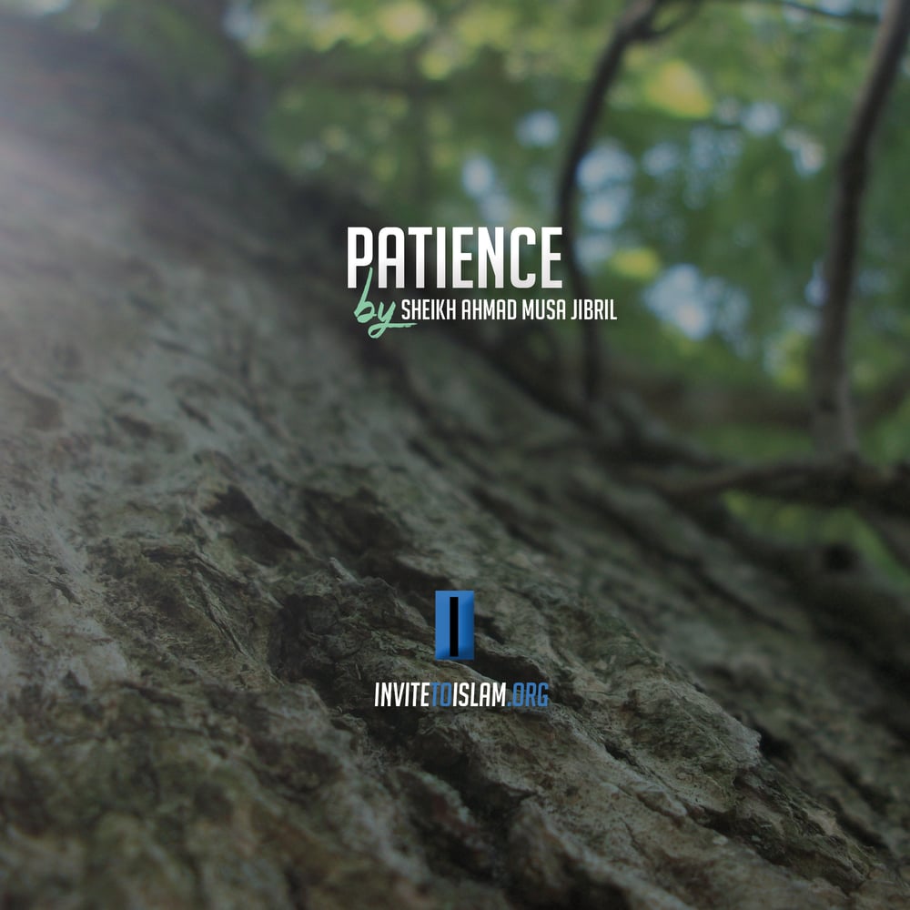 Image of Patience [CD]
