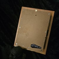Image 5 of Incredible orbweaver spider with preserved web inside a beautiful box frame