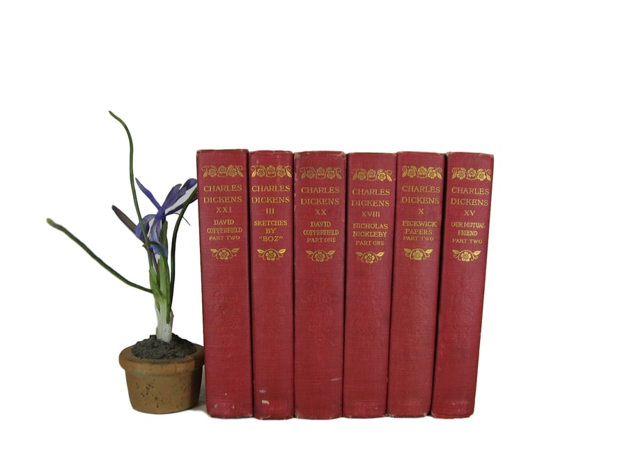 Image of Dickens Book Set