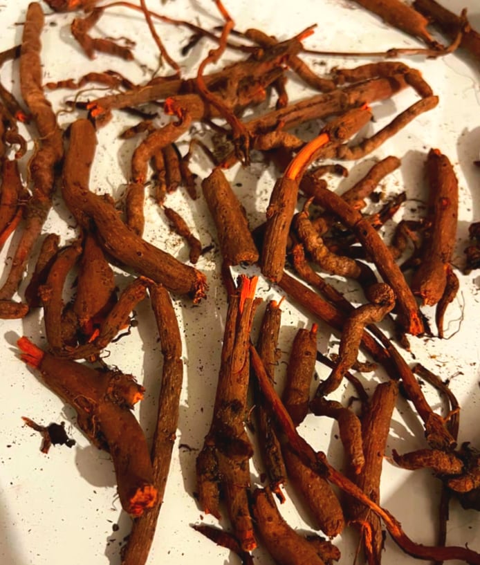 Image of Madder Dye Class