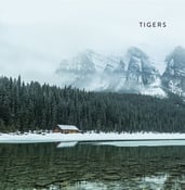 Image of Tigers "S/T"