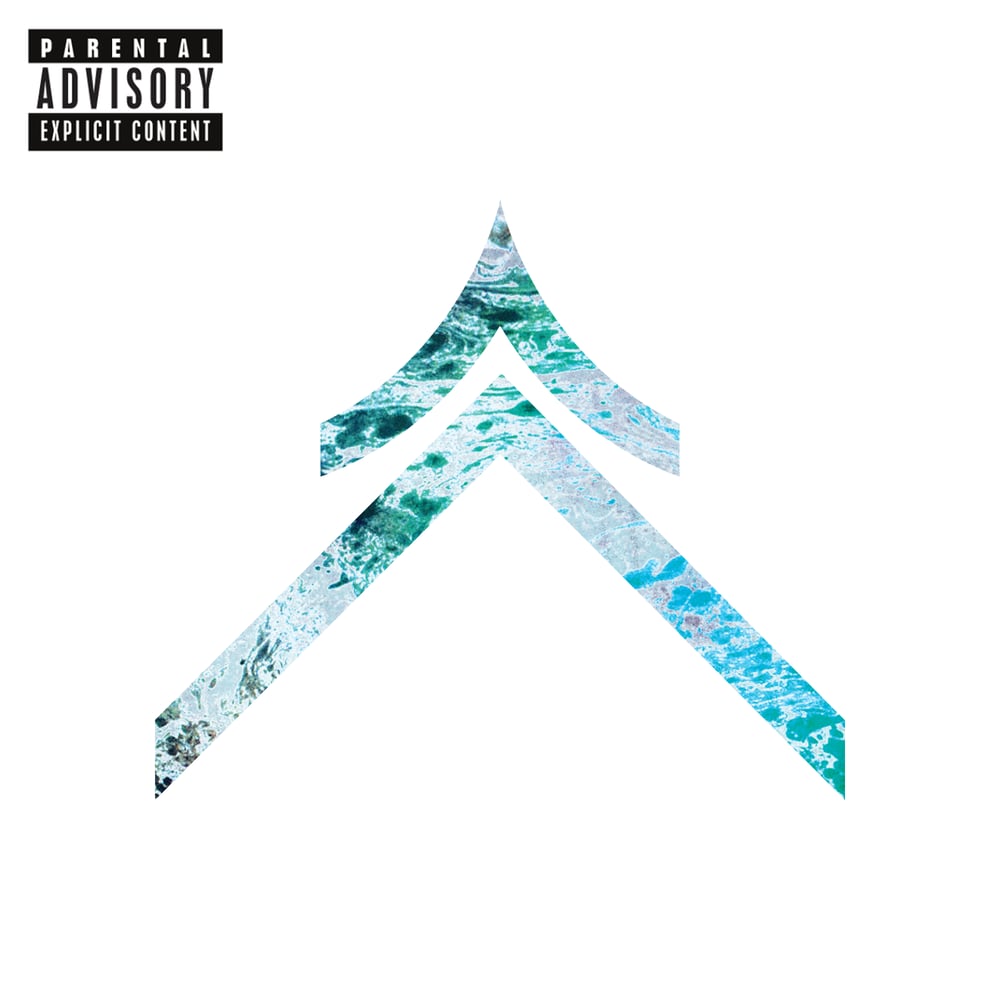Image of D.V.S.R - Album