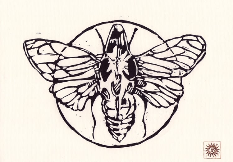 Image of Skullmoth - Lino print.