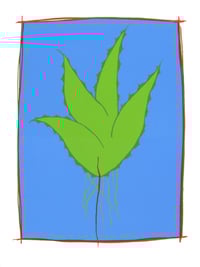 Untitled (2013, Maguey)