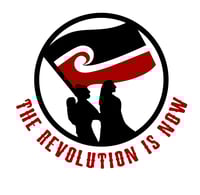 The Revolution is Now (2011)