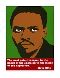 Steve Biko (2013)