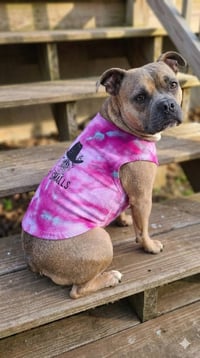 Image 1 of Large Doggie Tank