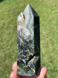 Image 16 of Ocean Jasper Tower #1791