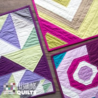 Image 4 of Preshrunk Quilts: 20 Mini Quilts Inspired by Carolina Patchworks Favorites