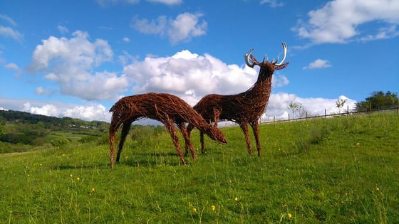 Image of Deer from £125-£2000