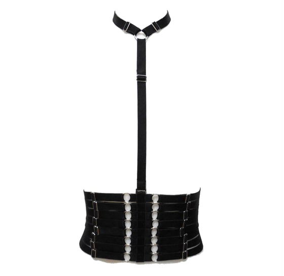 Image of Duality Waist Cincher. Removable Harness With Choker