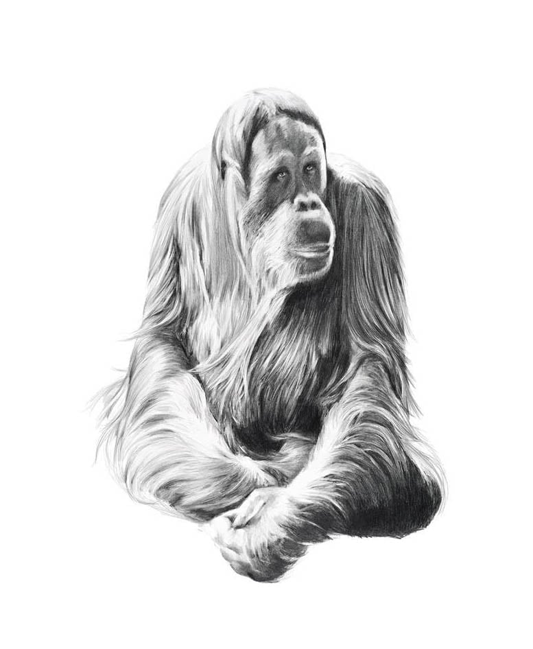 Image of 'GYPSY' Limited Edition Print