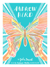 Andrew Bird Vancouver 2016