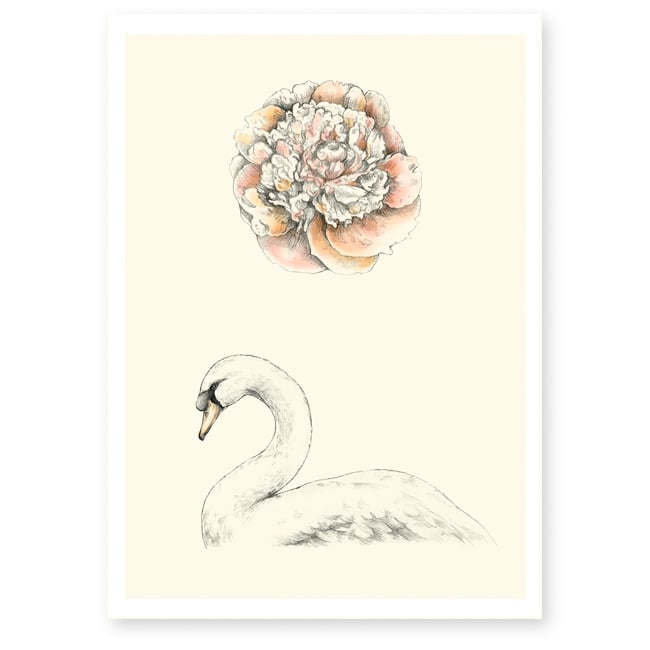 Image of Affiche A4 Cygne