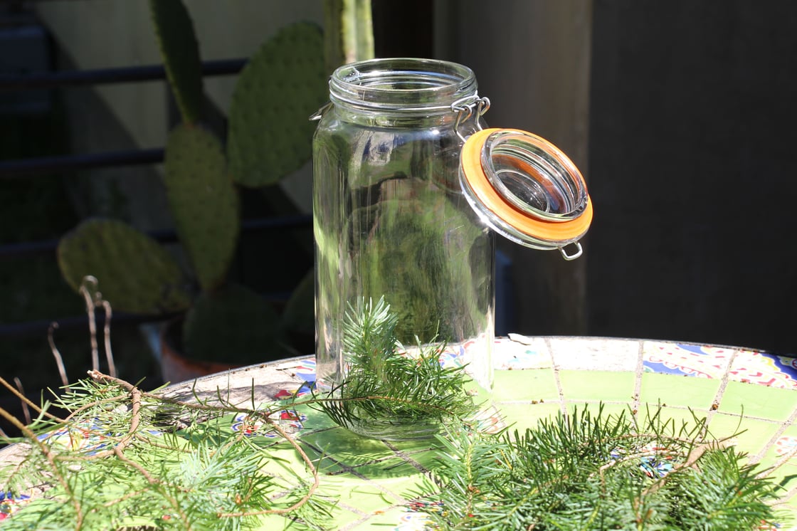 Image of Wisestars Flower Elixirs