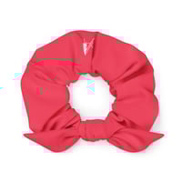 Image 2 of Chou à cheveux 1