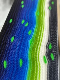 Image 3 of Seahawkfish by Mikie