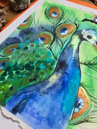 Image 6 of "Peacock" Original 