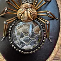 Image 3 of Snake skin spider (b, 4x5 inches)