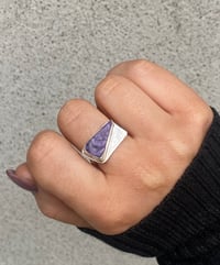 Image 2 of Ultra Violet 