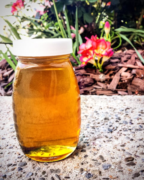 Image of 8 fl. oz. Spring Ambrosia Honey