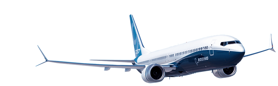 Image of Boeing 737 Max Sticker