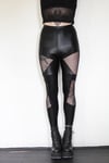 Fierce Mesh Leggings 