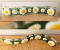 Image 1 of Fused Glass Daisy Wave