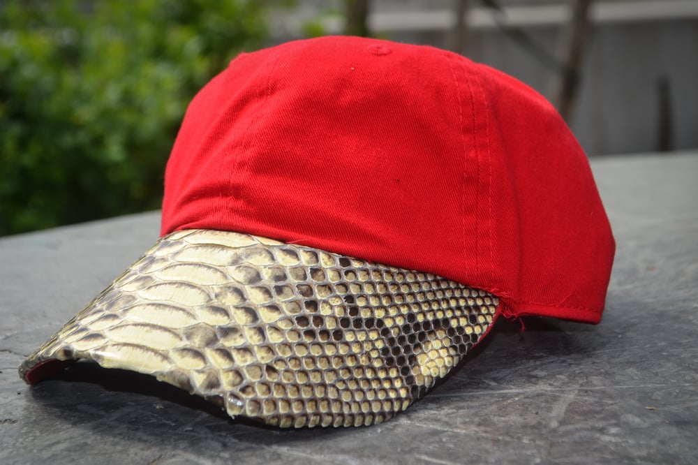 Image of Python brim dad hat in red