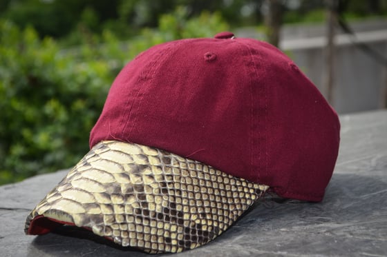 Image of Python brim dad hat in burgundy 