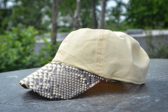 Image of Python brim dad hat in cream