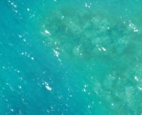 Image 2 of Caribbean Waters - 4'x6' PLUS - #350