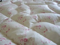 Image 2 of Beautiful Louise Loves Roses Eiderdown