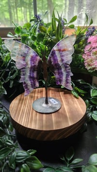 Image 3 of Fluorite Butterfly