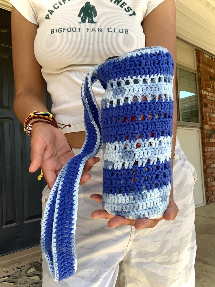 Image of ✧Bluey Carrier