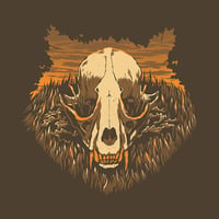 The Raccoon