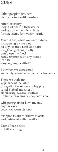 Image 2 of Boys by Sally Jenkinson