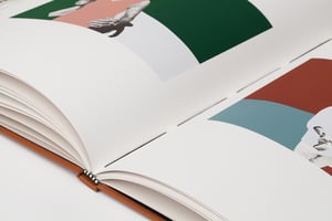 Image of Limited-edition Artist's Book: images by Michelle Maguire, words by Aaron Beck