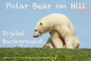 Image of Polar Bear on Hill Digital Background
