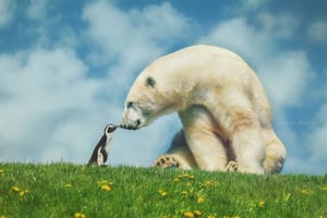 Image of Polar Bear on Hill Digital Background