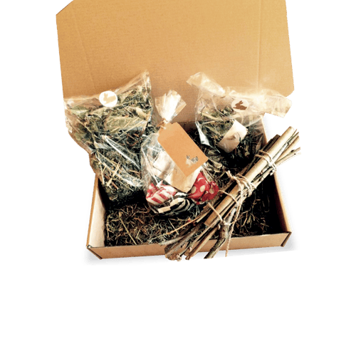 Image of Recovery and Wellness Box