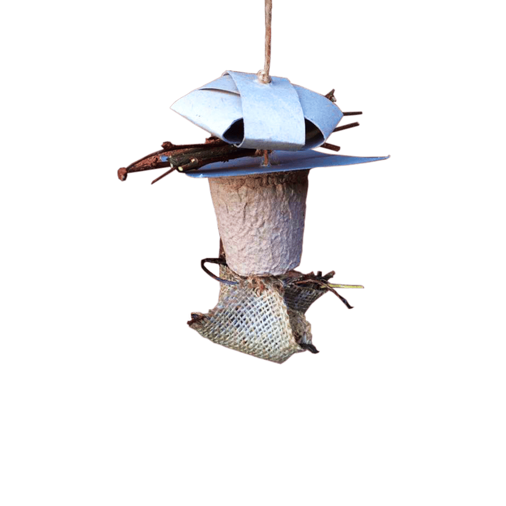 Image of Dried Delights Deluxe