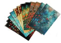 END OF LINE SALE: Lily Greenwood Large Postcards Set of 12 (Combo 2)