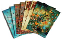 END OF LINE SALE: Lily Greenwood Large Postcards Set of 8 (Combo 4) 