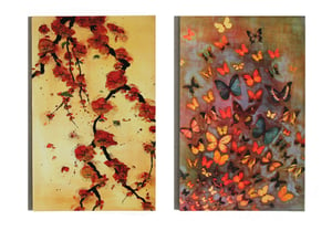 Image of END OF LINE SALE: Lily Greenwood Large Postcards Set of 8 (Combo 6) 