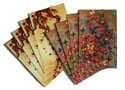 END OF LINE SALE: Lily Greenwood Large Postcards Set of 8 (Combo 6) 