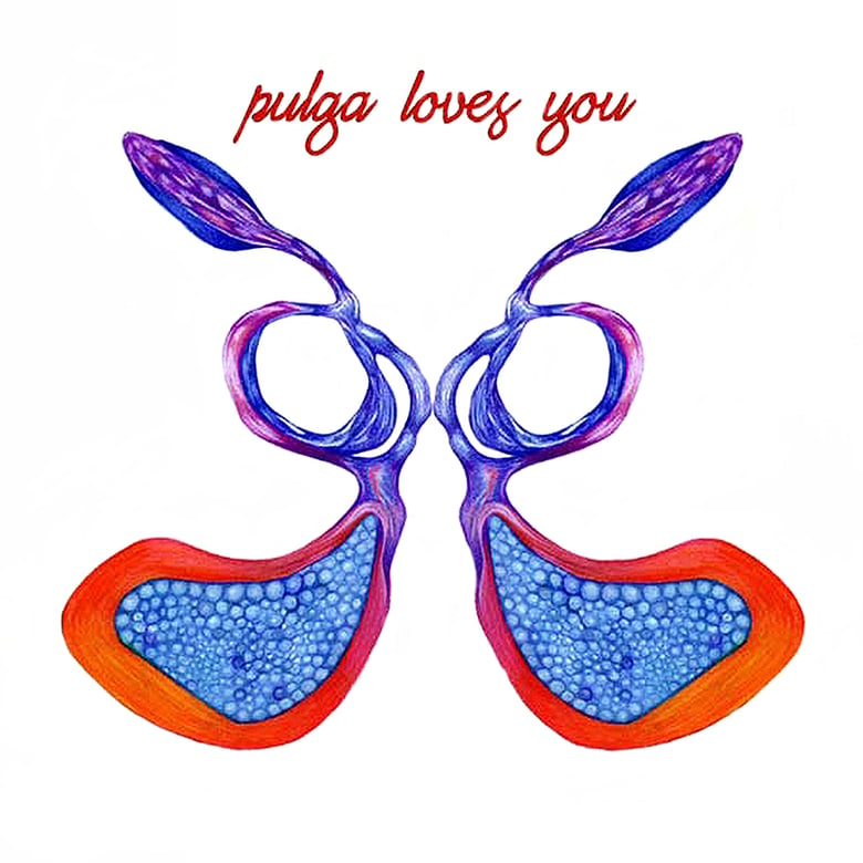 Image of Pulga - "Pulga Loves You" DL - DS014